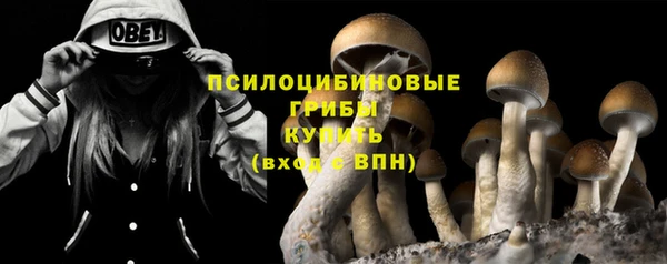 дмт Алзамай