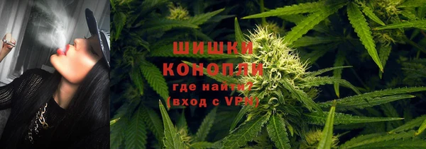 дмт Алзамай