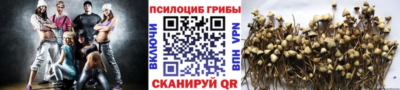 Псилоцибиновые грибы мухоморы купить наркотик Камбарка