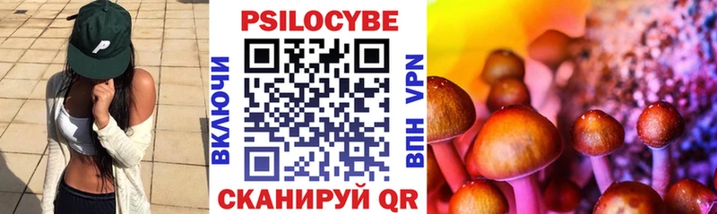 Галлюциногенные грибы Psilocybine cubensis Камбарка
